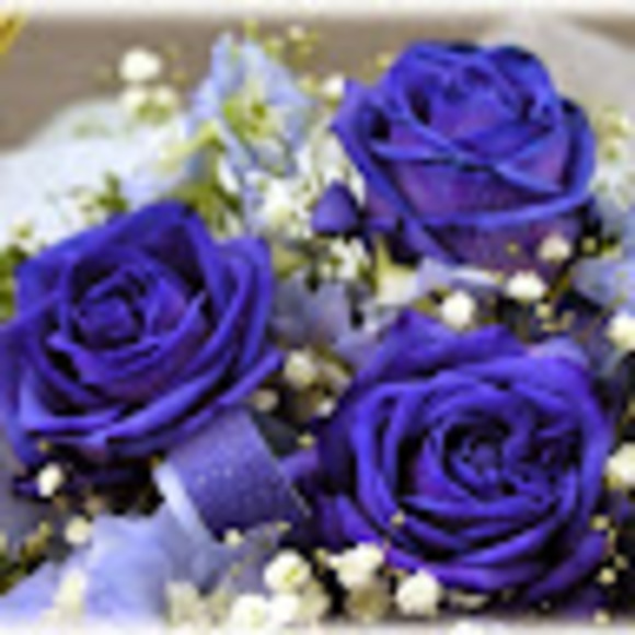 Meet your Posher, Greeneyes4444 - Picture 1 of 1